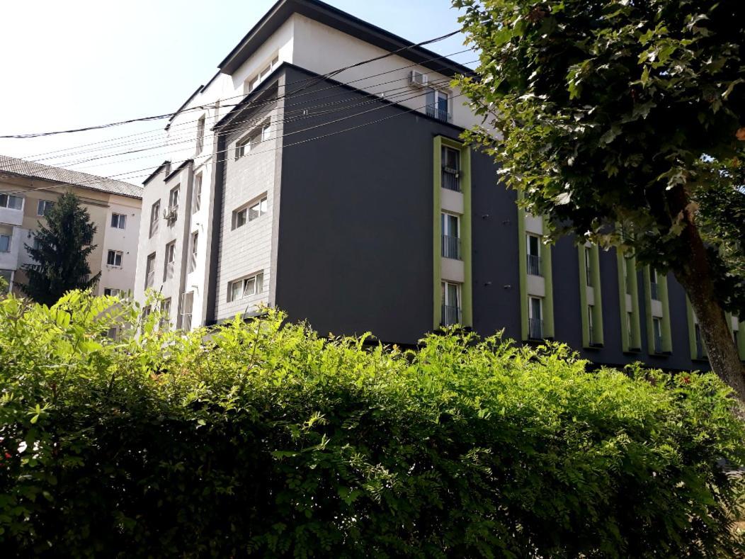 Appartement Apartament Business Langa Vivo Mall à Baia Mare Extérieur photo
